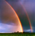 DoubleRainbow's Avatar