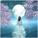 GirlinDarkWell's Avatar